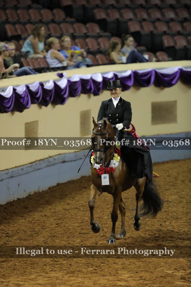 Proof 18YN_03568