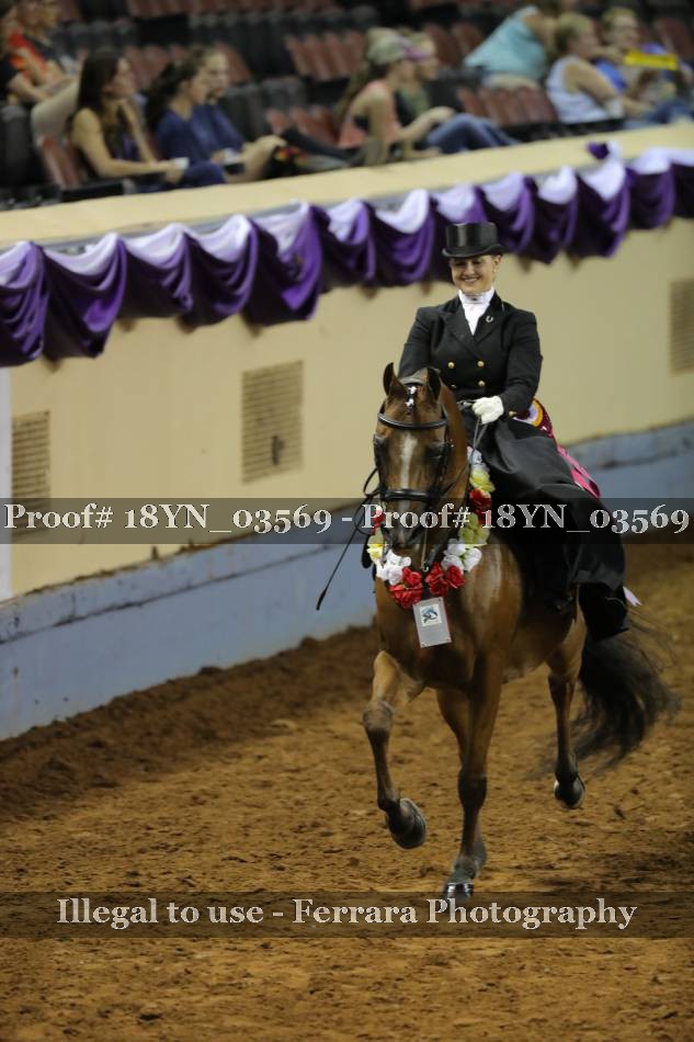 Proof 18YN_03569