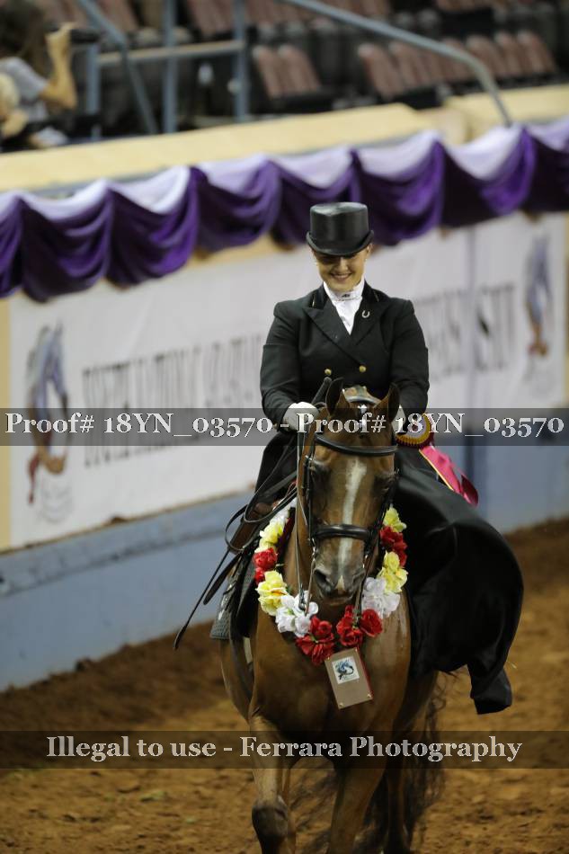 Proof 18YN_03570