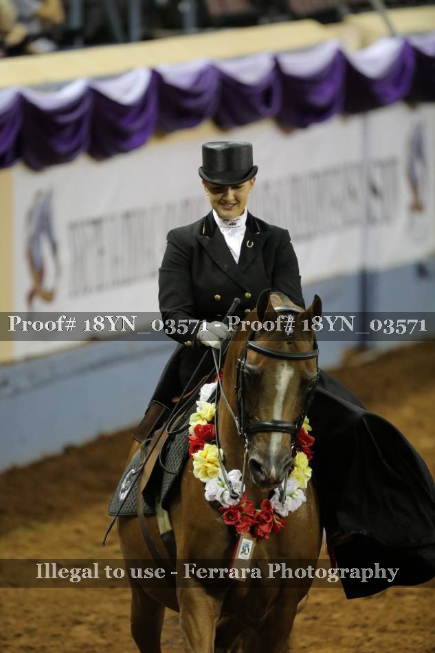 Proof 18YN_03571