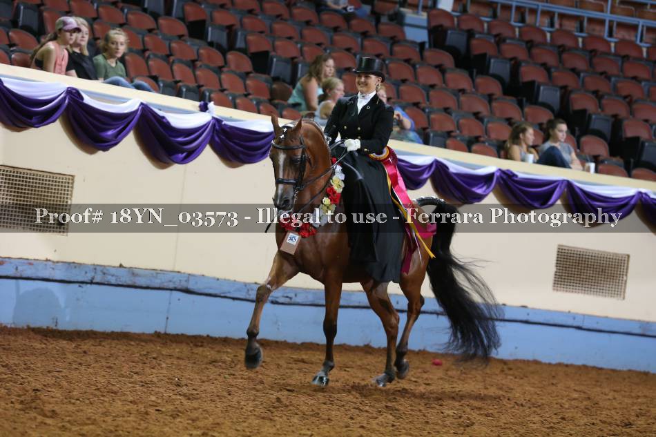 Proof 18YN_03573