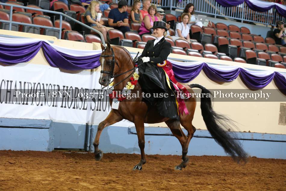 Proof 18YN_03575