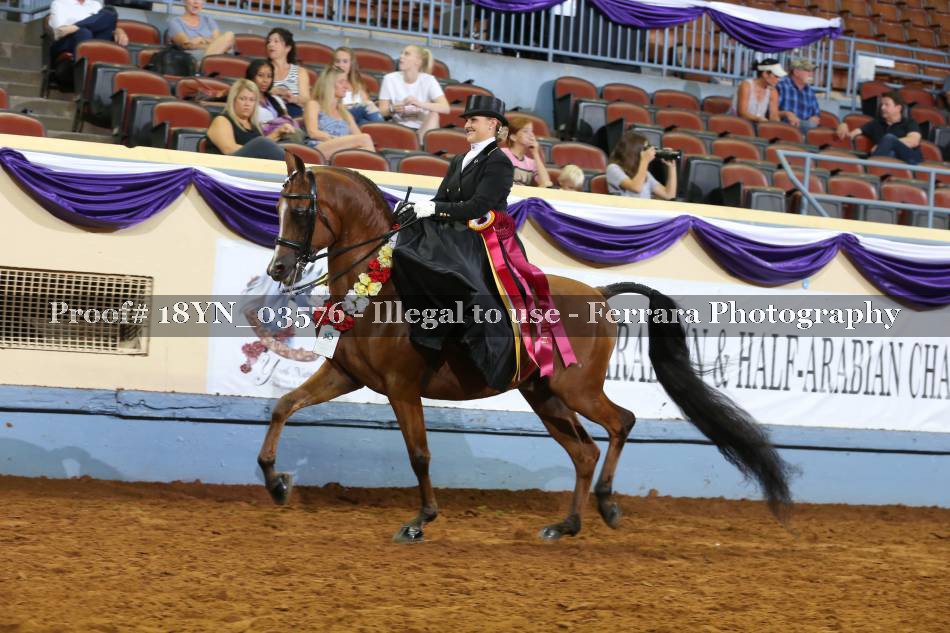Proof 18YN_03576