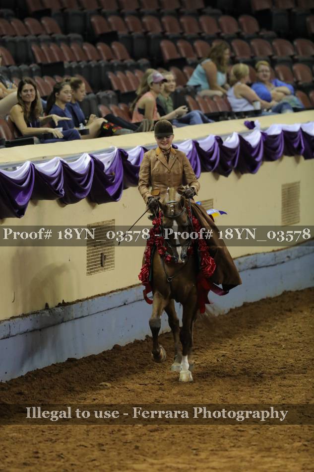 Proof 18YN_03578
