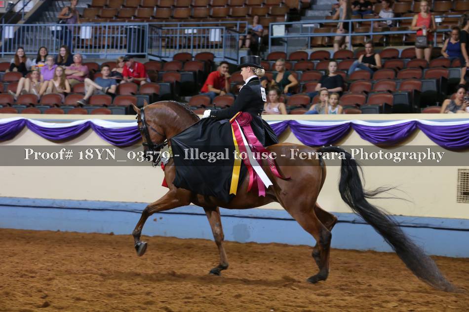 Proof 18YN_03579