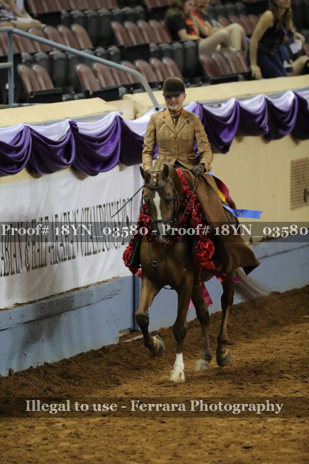 Proof 18YN_03580