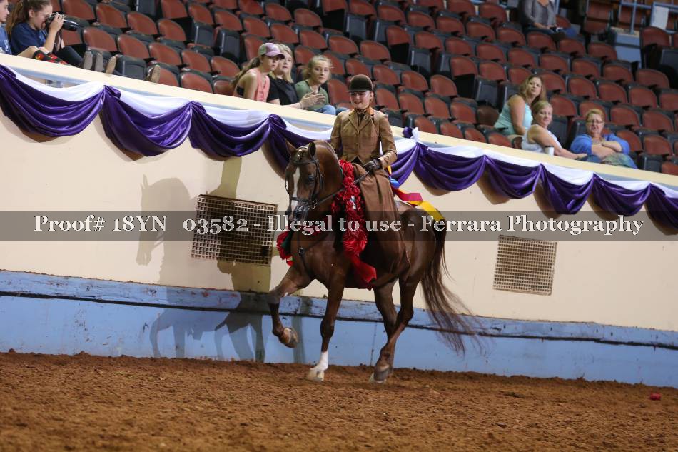 Proof 18YN_03582