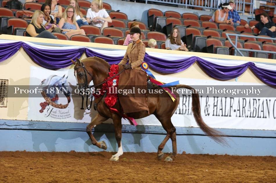 Proof 18YN_03585