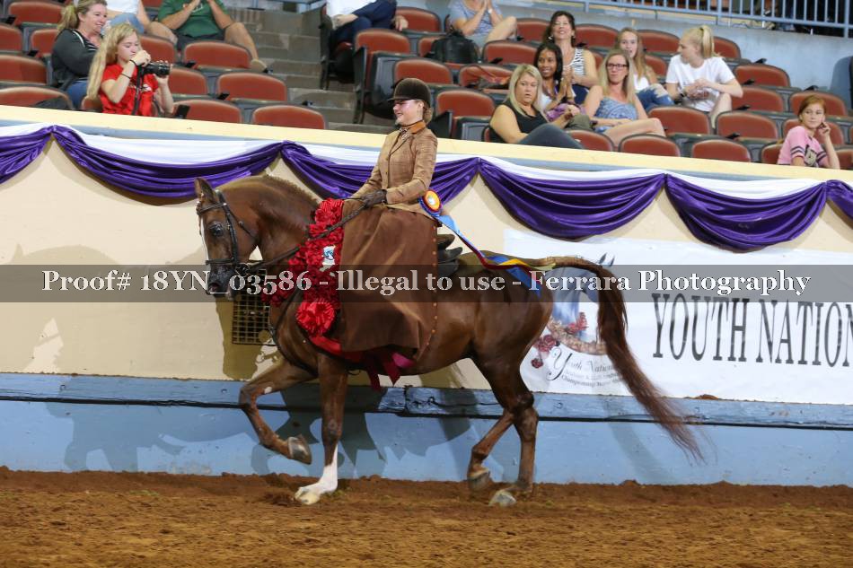 Proof 18YN_03586