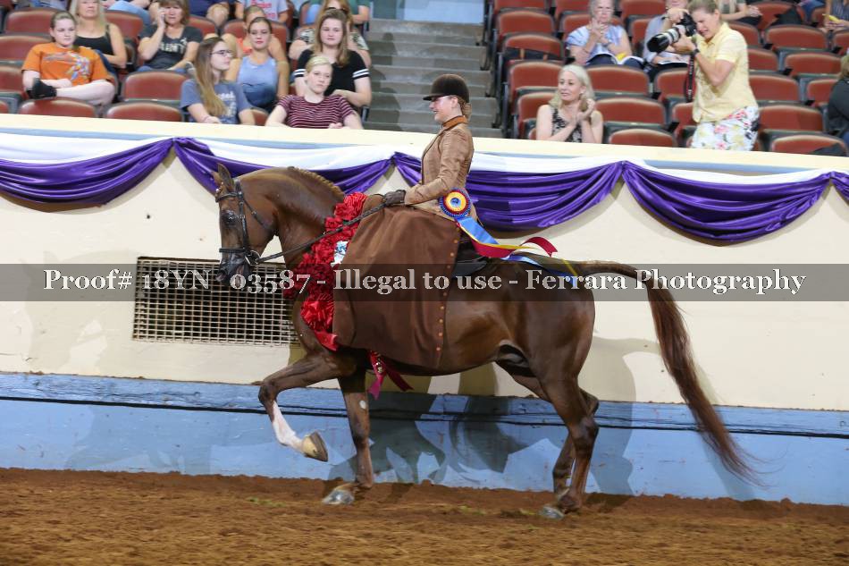 Proof 18YN_03587