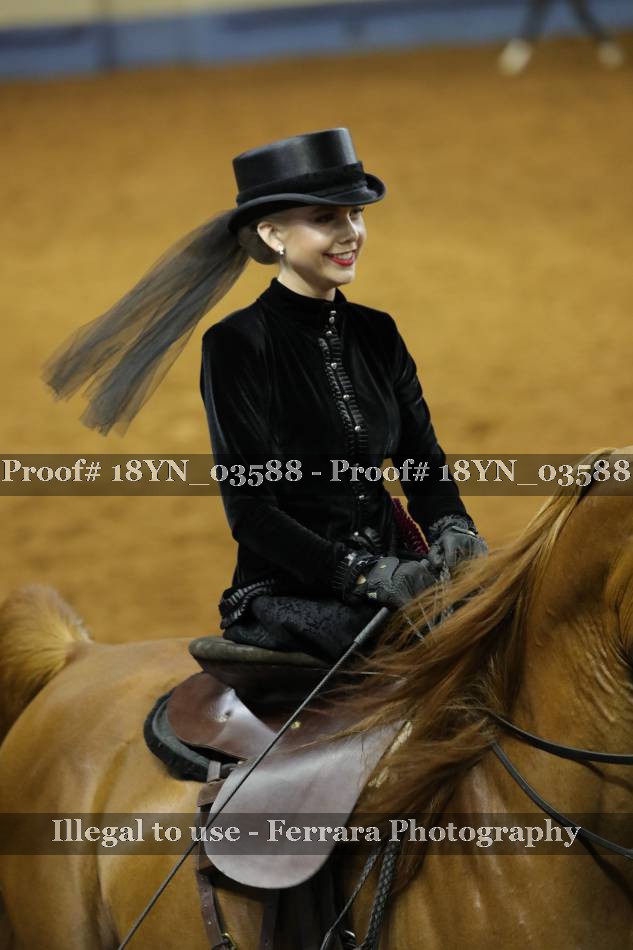 Proof 18YN_03588