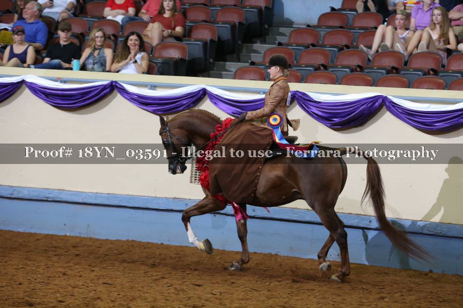 Proof 18YN_03591