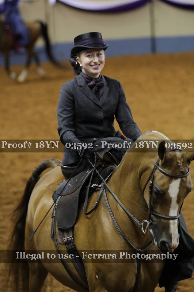 Proof 18YN_03592