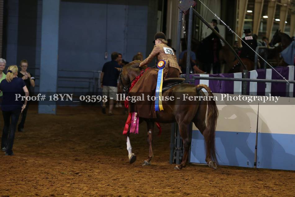 Proof 18YN_03593
