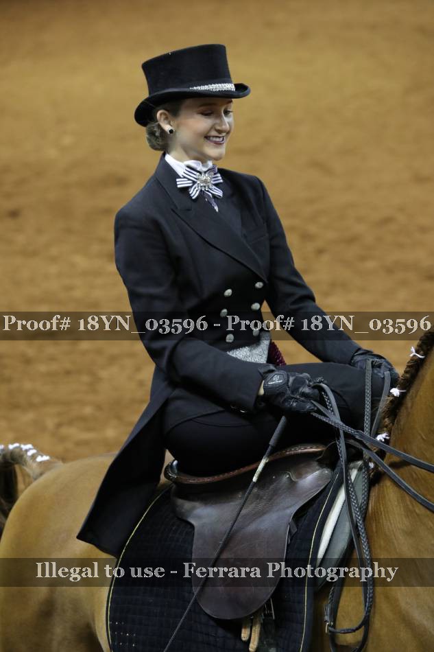 Proof 18YN_03596