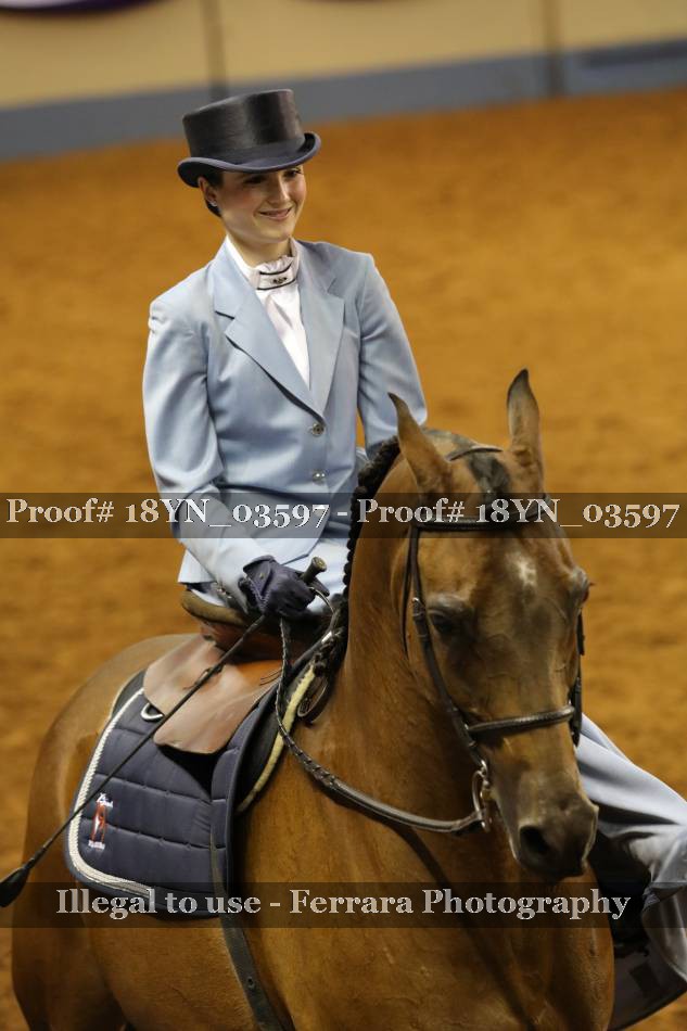 Proof 18YN_03597
