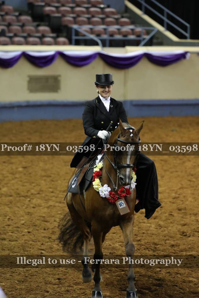 Proof 18YN_03598
