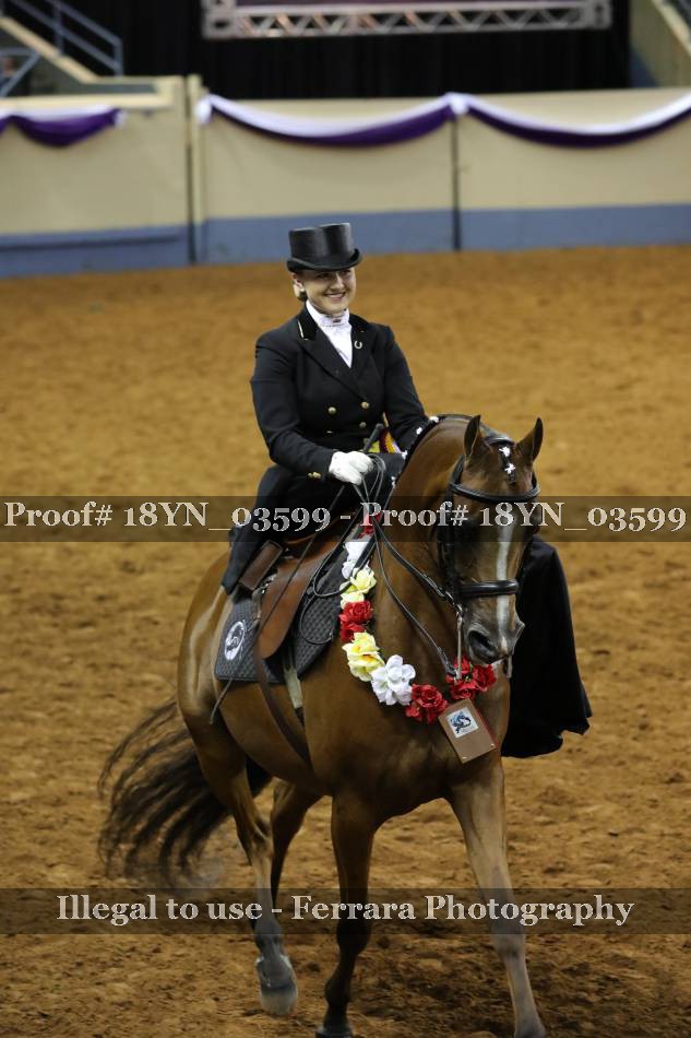 Proof 18YN_03599
