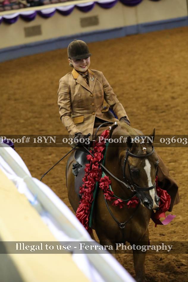 Proof 18YN_03603