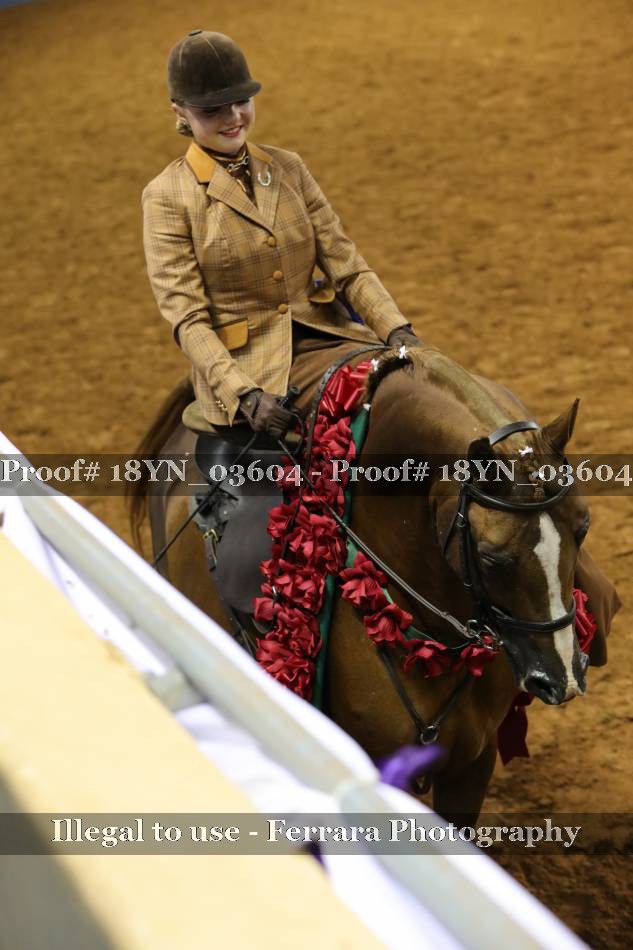 Proof 18YN_03604