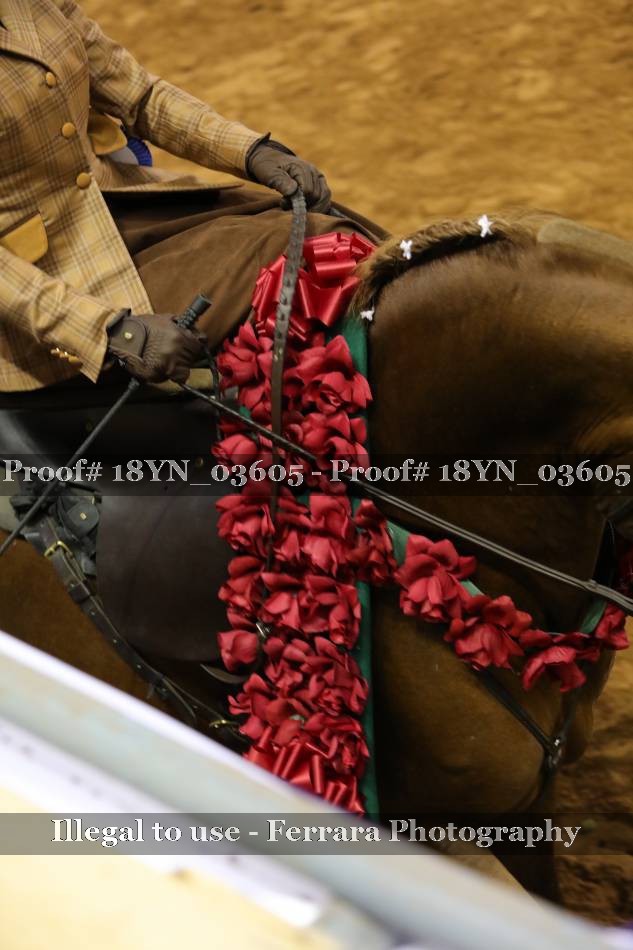 Proof 18YN_03605