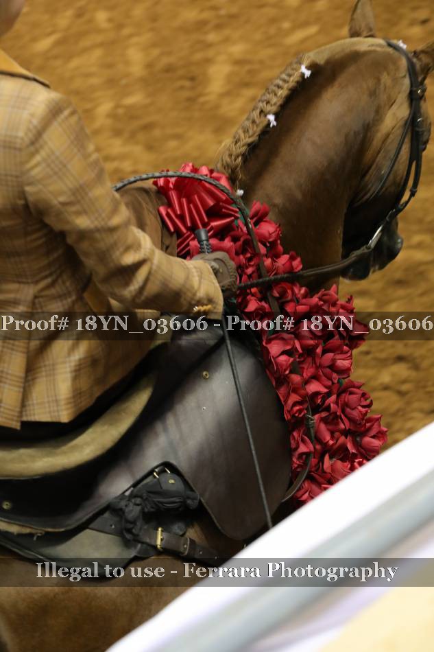 Proof 18YN_03606