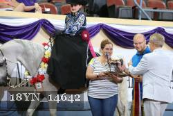18YN_14642 proof
