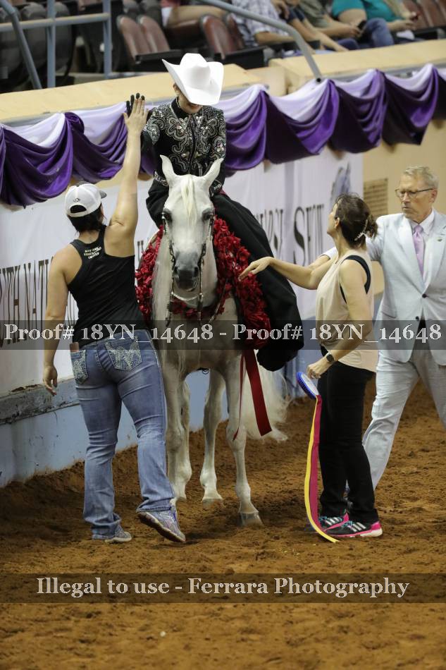 Proof 18YN_14648