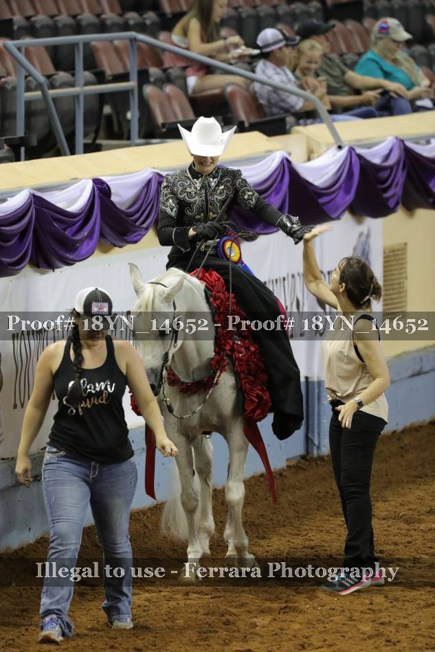 Proof 18YN_14652