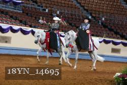 18YN_14695 proof