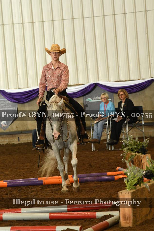 Proof 18YN_00755