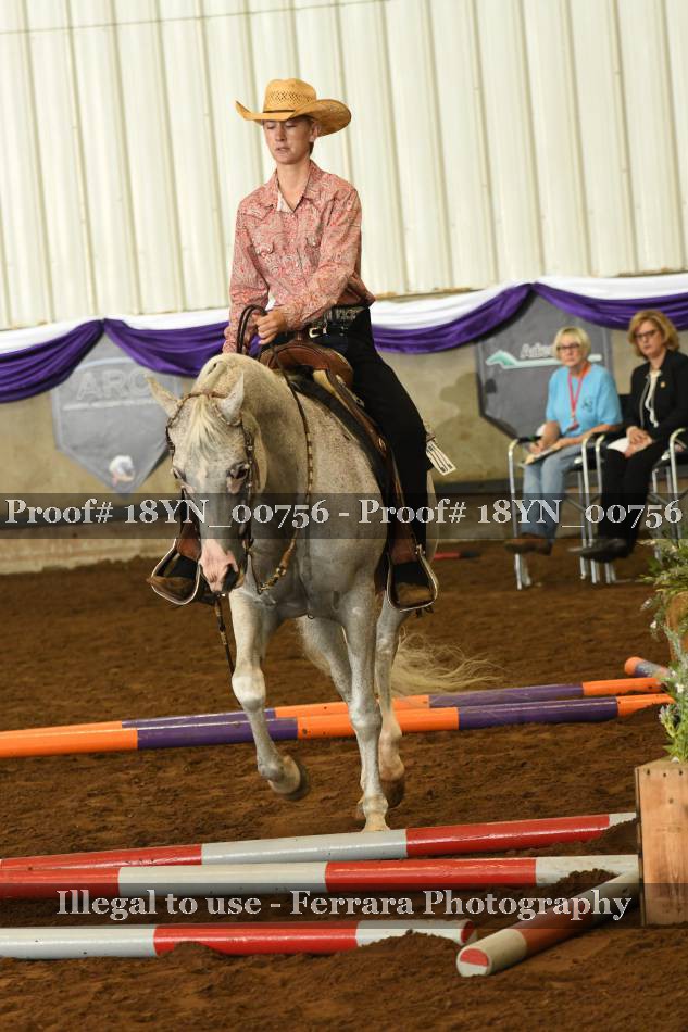 Proof 18YN_00756