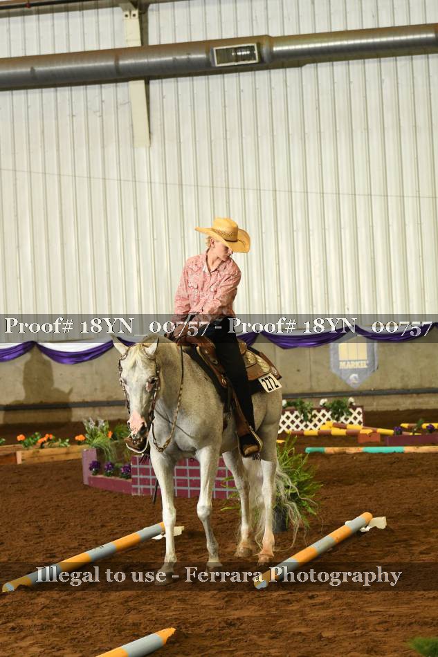 Proof 18YN_00757