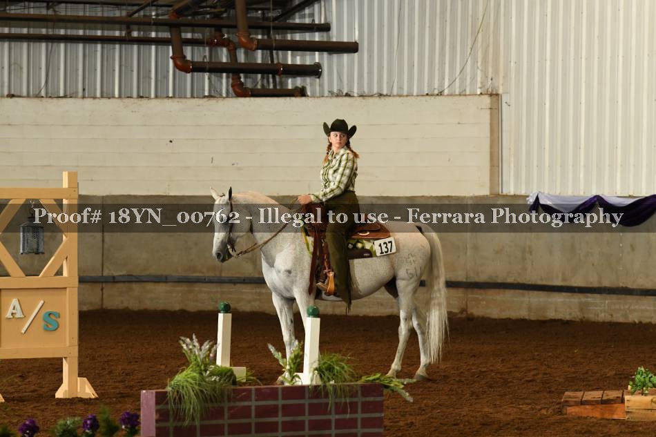 Proof 18YN_00762