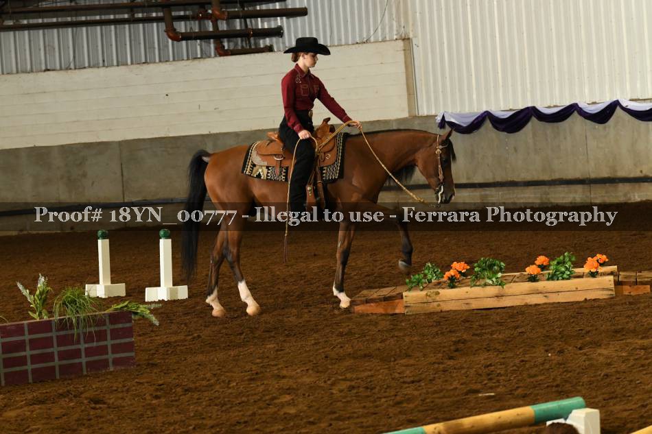 Proof 18YN_00777