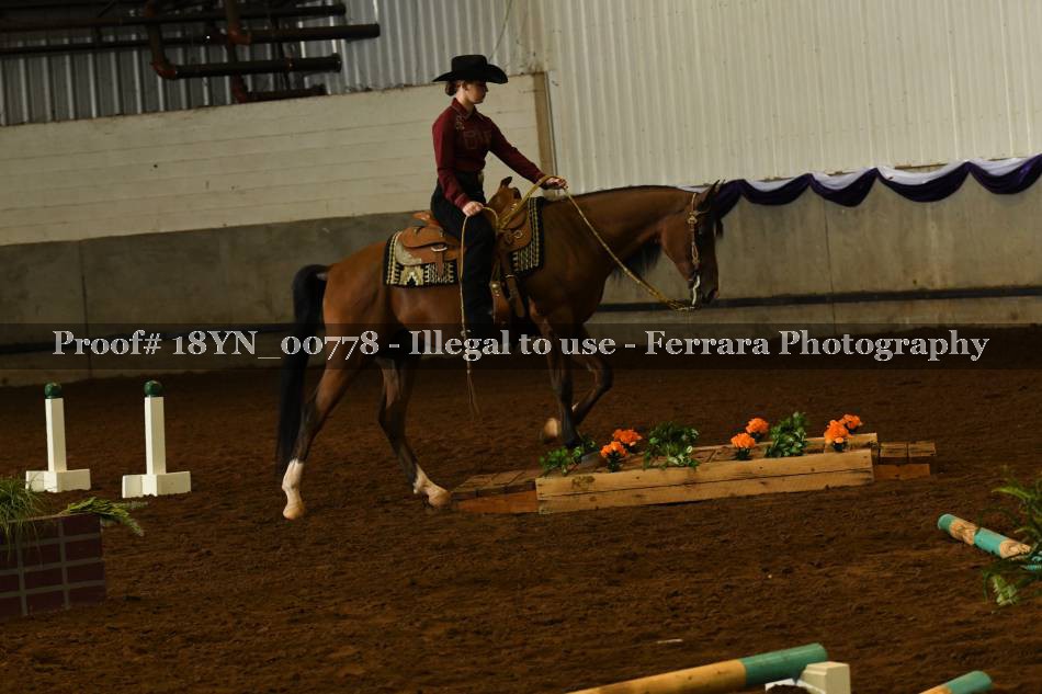 Proof 18YN_00778