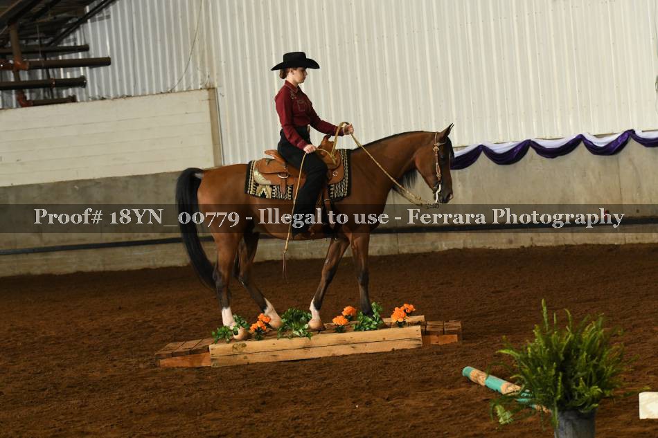 Proof 18YN_00779