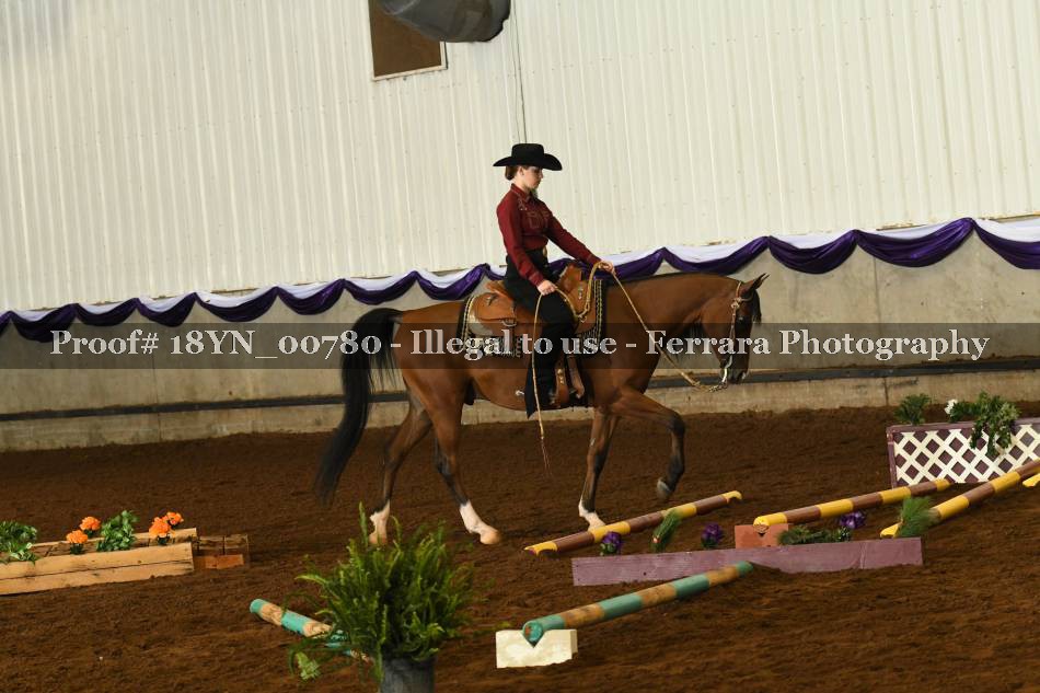 Proof 18YN_00780