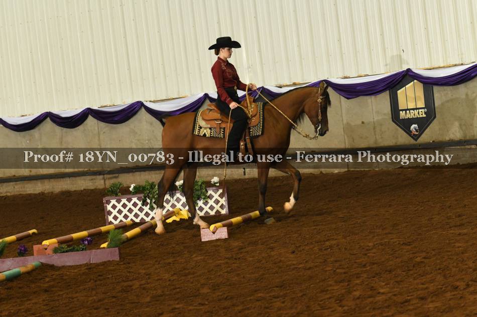 Proof 18YN_00783