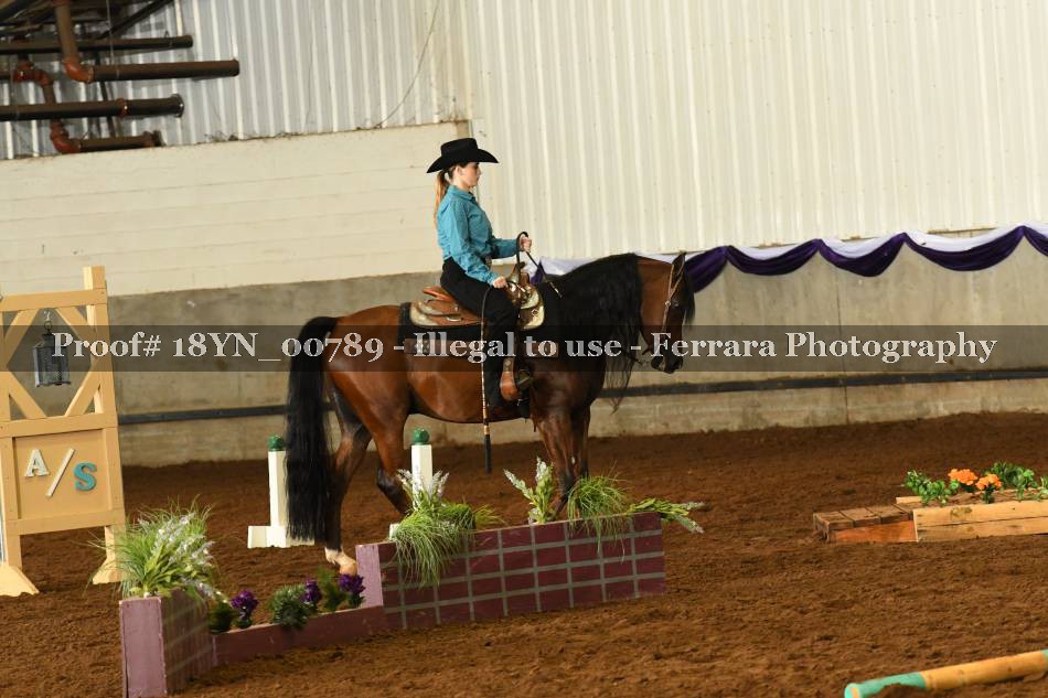 Proof 18YN_00789
