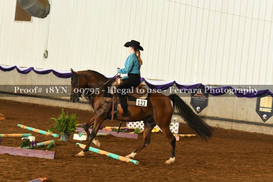 Proof 18YN_00795
