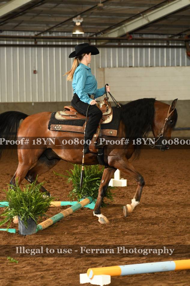 Proof 18YN_00800