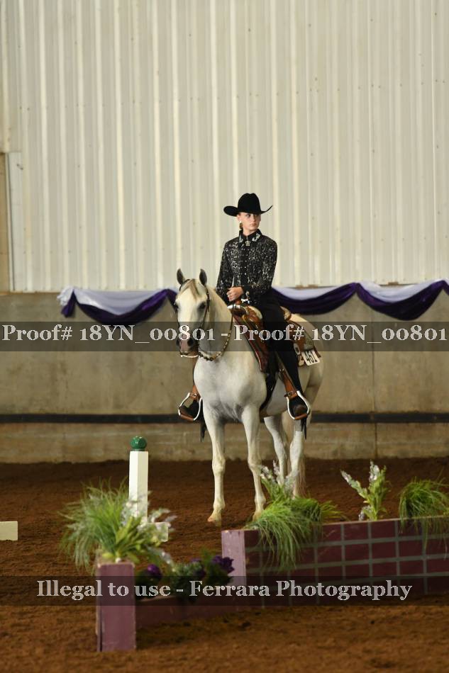 Proof 18YN_00801