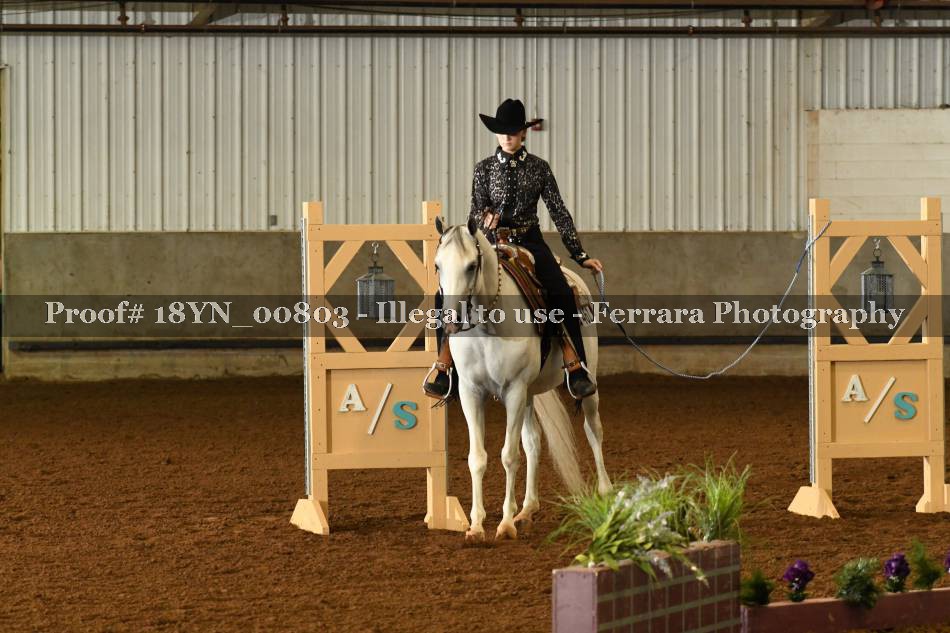 Proof 18YN_00803