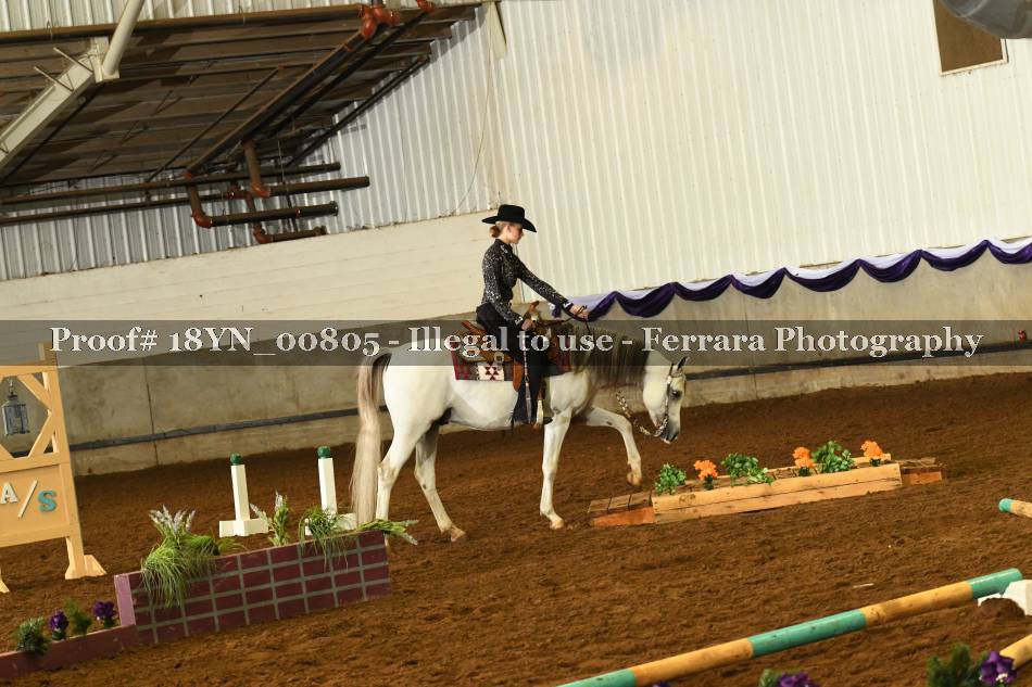 Proof 18YN_00805