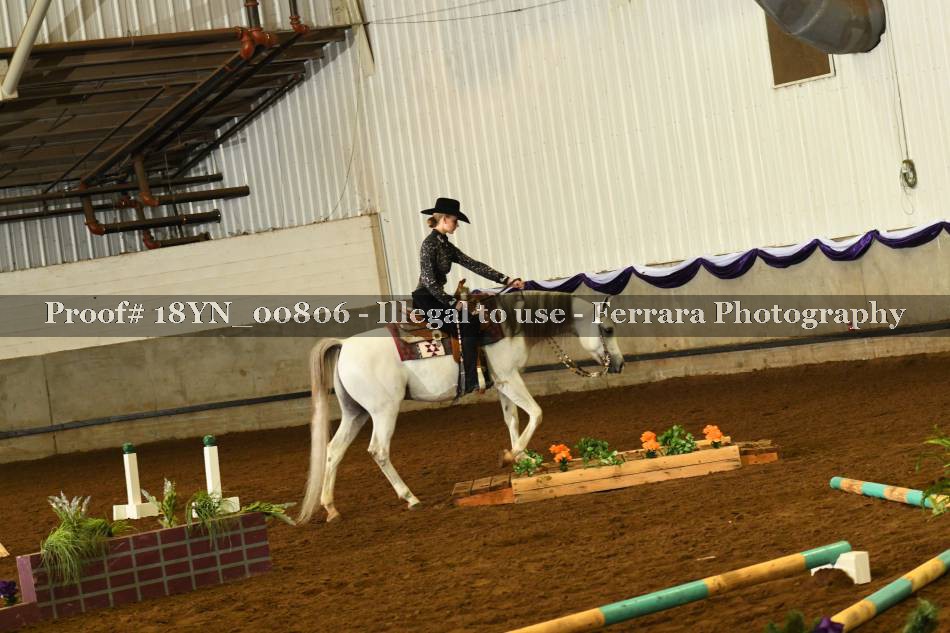 Proof 18YN_00806