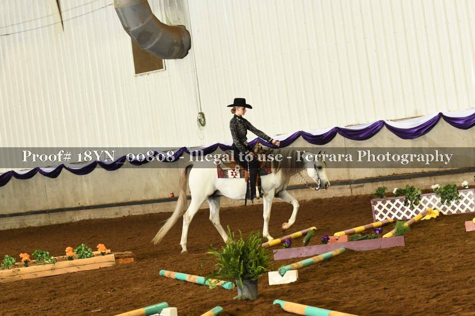 Proof 18YN_00808
