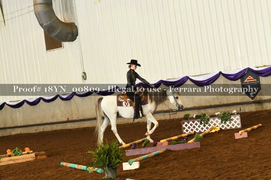 Proof 18YN_00809
