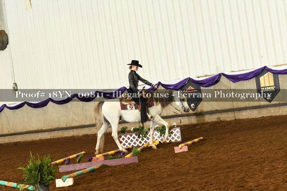 Proof 18YN_00811