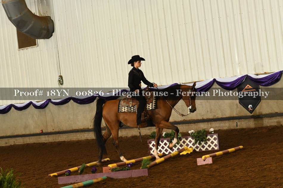 Proof 18YN_00826
